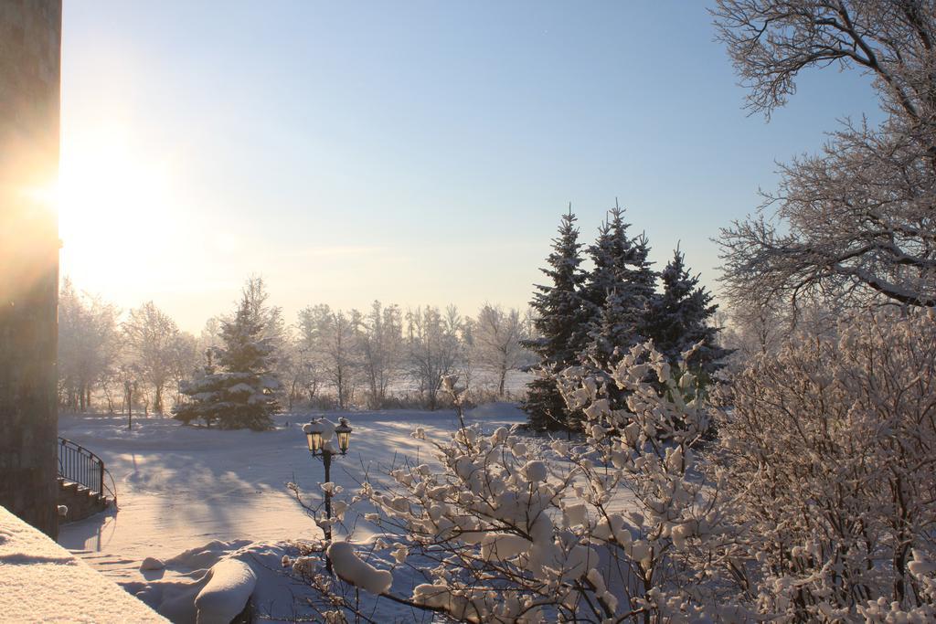 Park Hotel Puszkin Zewnętrze zdjęcie